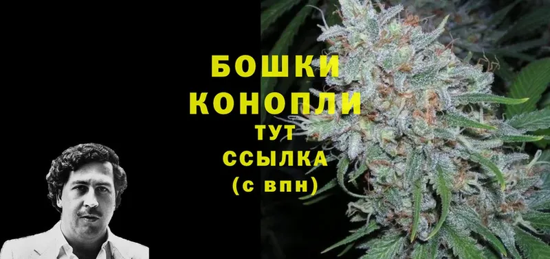 Канабис Ganja  Курган 